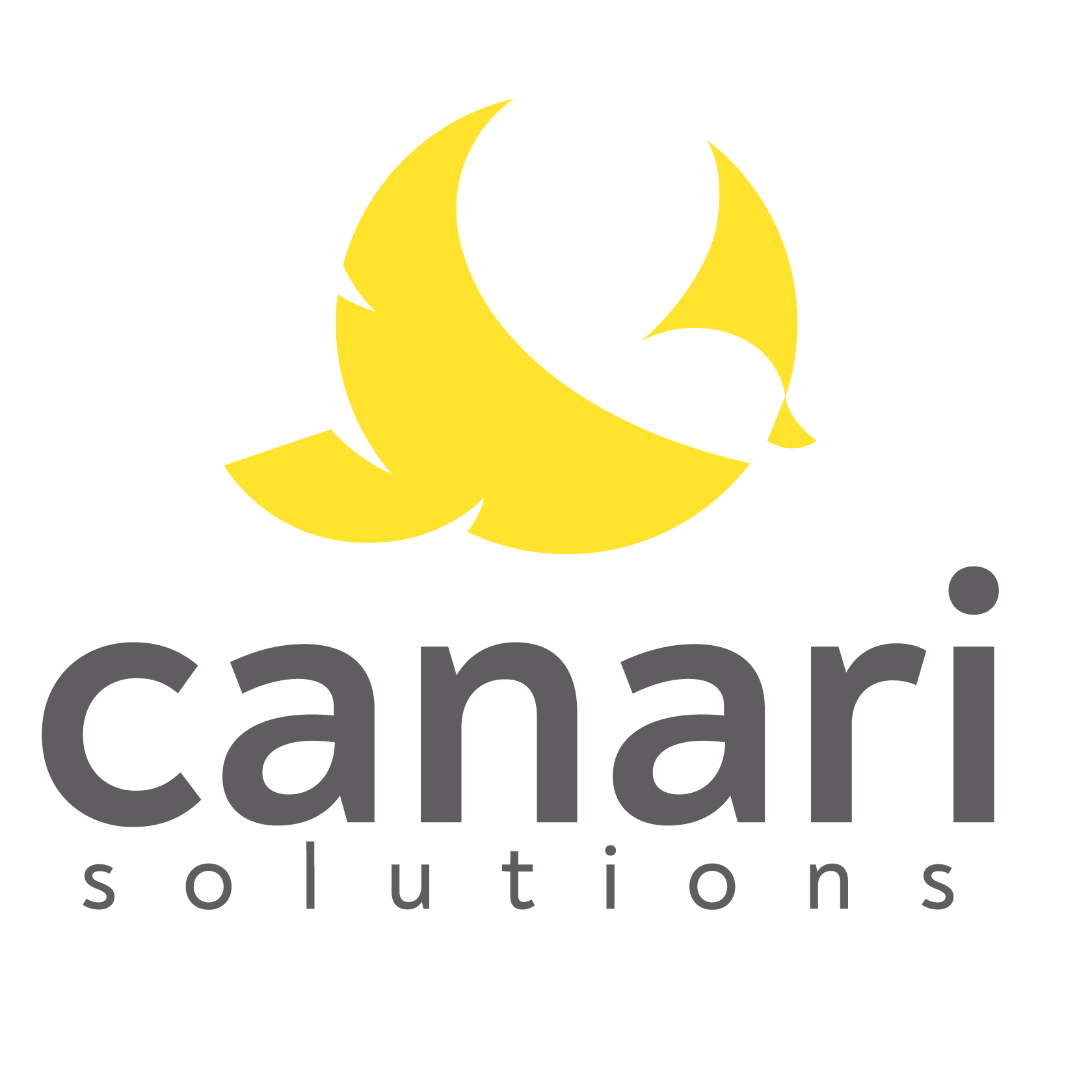 Canari Solutions